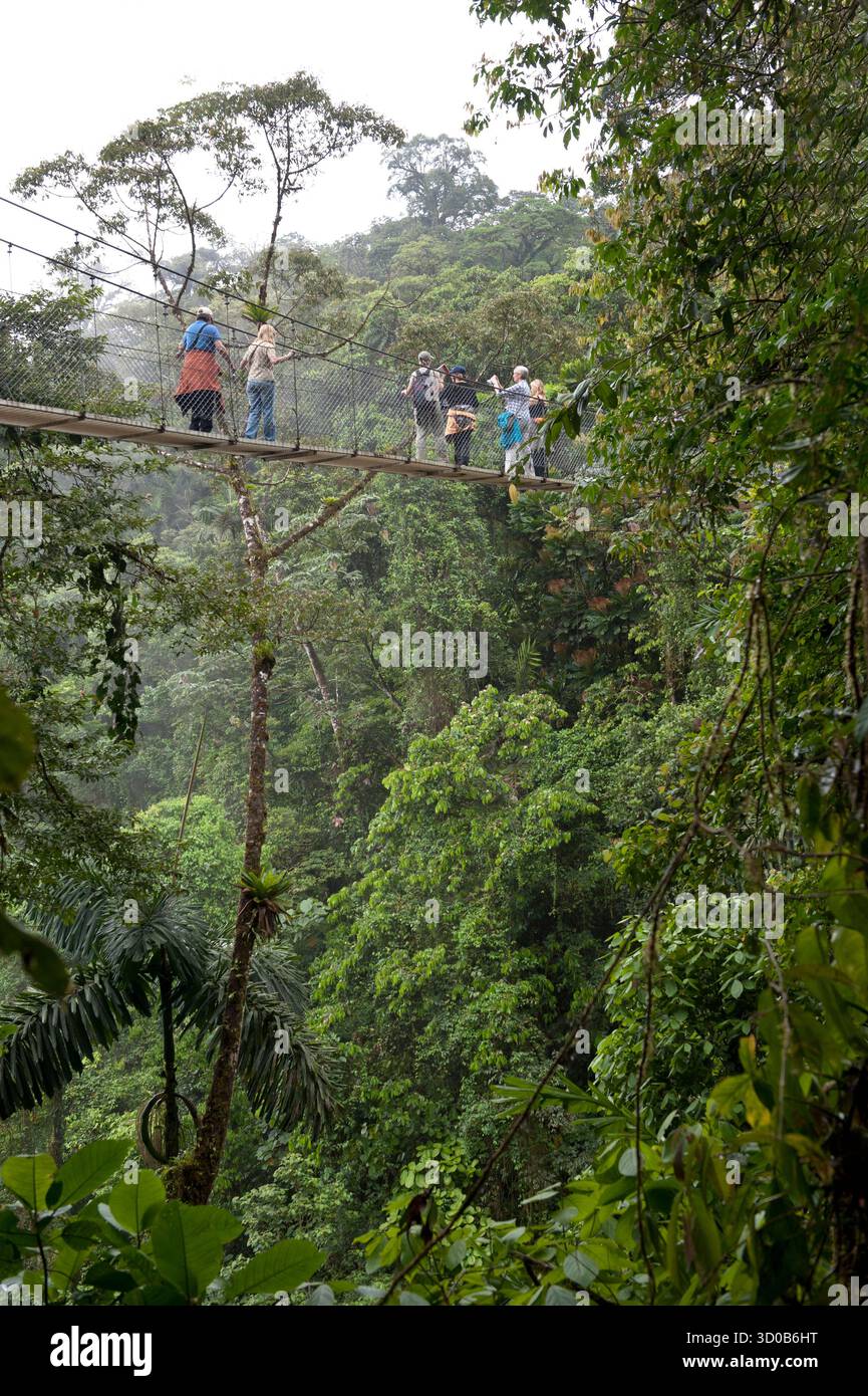 Pont suspendu d'Arenal, Costa Rica, signifiant « côte riche » en espagnol, officiellement la République du Costa Rica, est un pays d'Amérique centrale, bordé par b Banque D'Images
