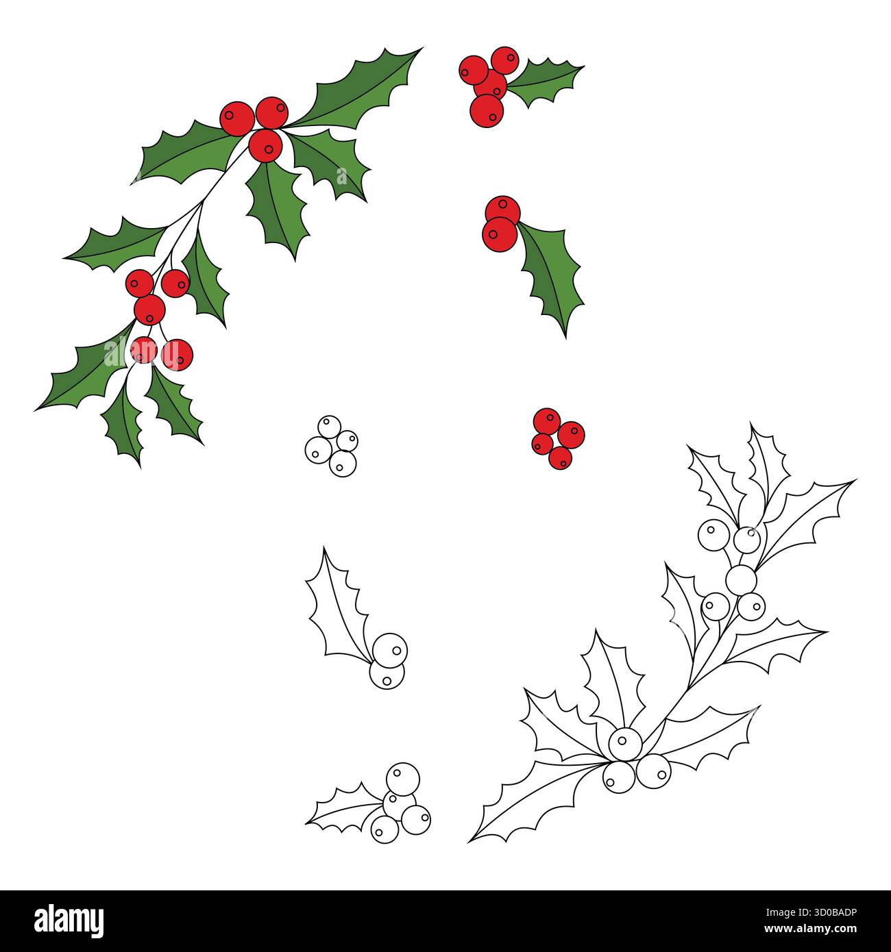 Noël feuilles de houx et baies Vector Set colorés et contours variations Illustration de Vecteur