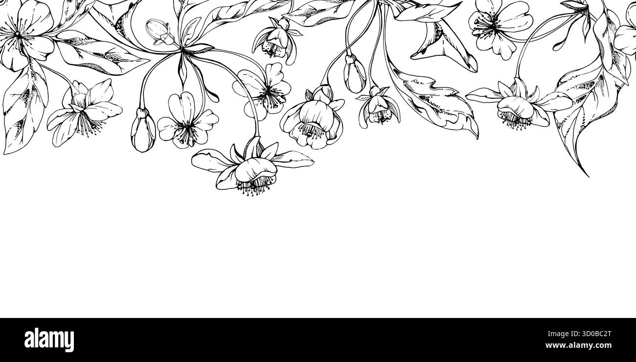 Fleur blanche de pomme de sakura cerise et bourgeon avec des feuilles de plante sur les tiges, encre vectorielle dessinée à la main, illustration botanique de fleurs sauvages. Isolation transparente Illustration de Vecteur