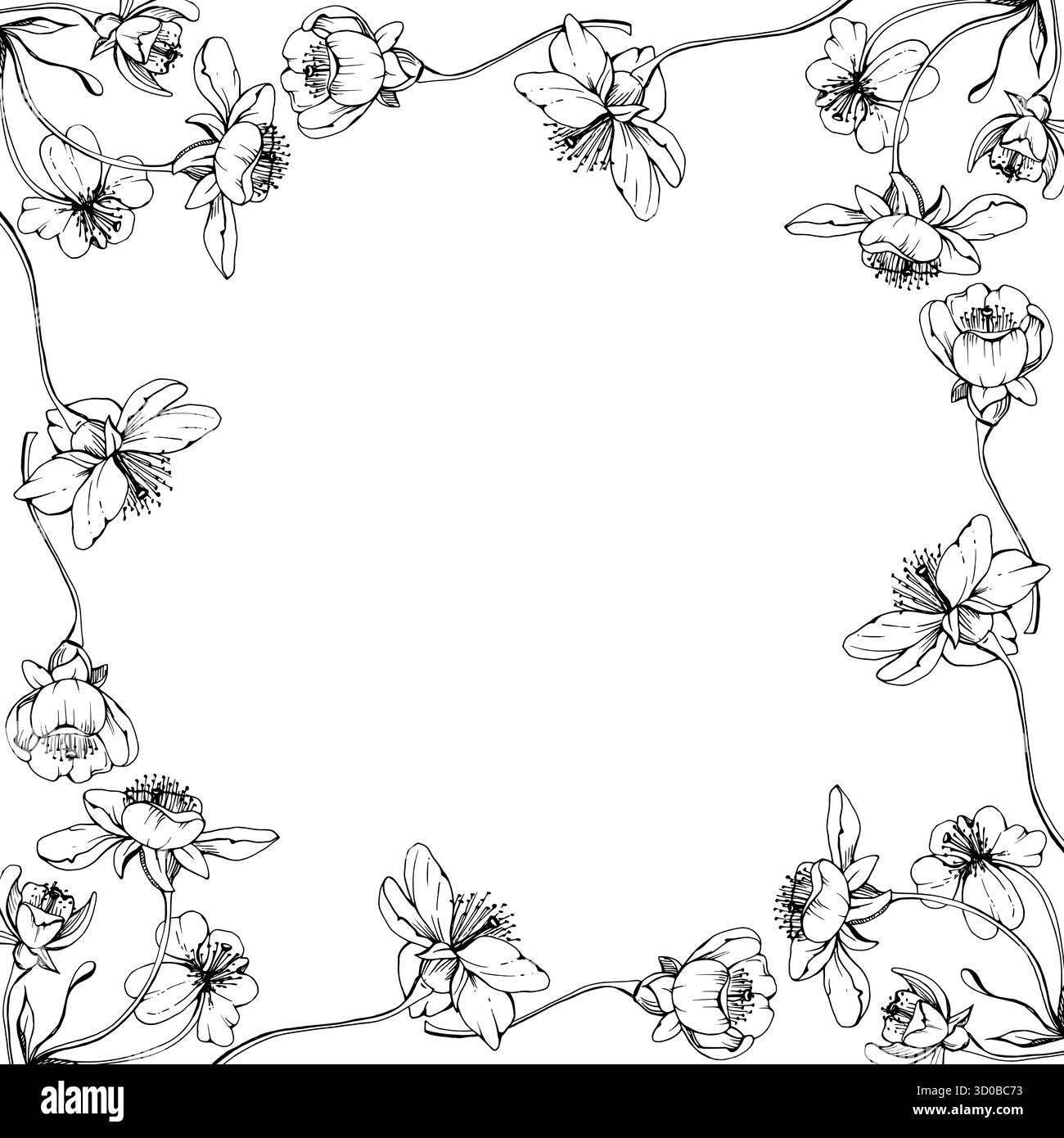 Fleur blanche de sakura de cerise et bourgeon sur les tiges, encre vectorielle dessinée à la main, fleur de pomme début de printemps illustration botanique de fleur sauvage. Bordure isolée Illustration de Vecteur