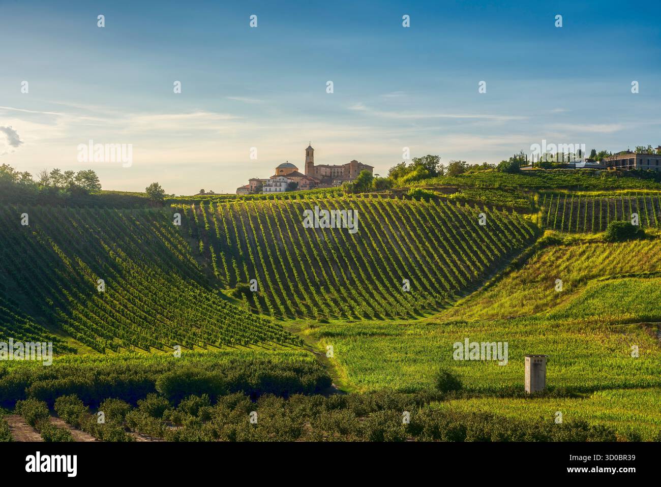 Vue panoramique sur le village de Montegrosso d'Asti situé sur une colline, surplombant les vignobles en terrasses et les noisetiers dans la région du Monferrato, Piémont regi Banque D'Images Vue panoramique sur le village de Montegrosso d'Asti situé sur une colline, surplombant les vignobles en terrasses et les noisetiers dans la région du Monferrato, Piémont regi Banque D'Images