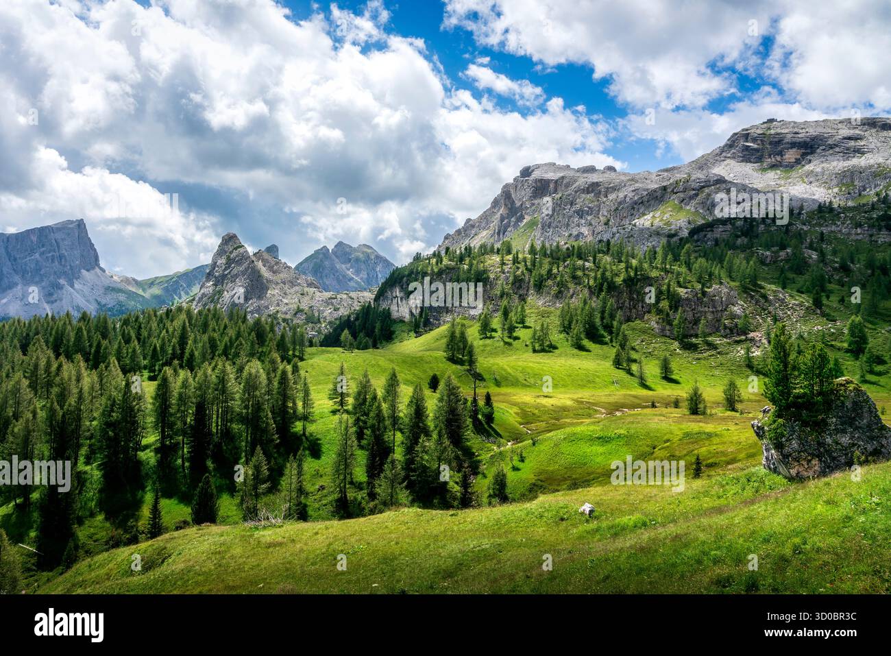 Paysage d'été des Dolomites italiennes avec d'imposants sommets rocheux, des prairies verdoyantes et des forêts, sur le sentier des Cinque Torri. Tyrol du Sud, Italie Banque D'Images