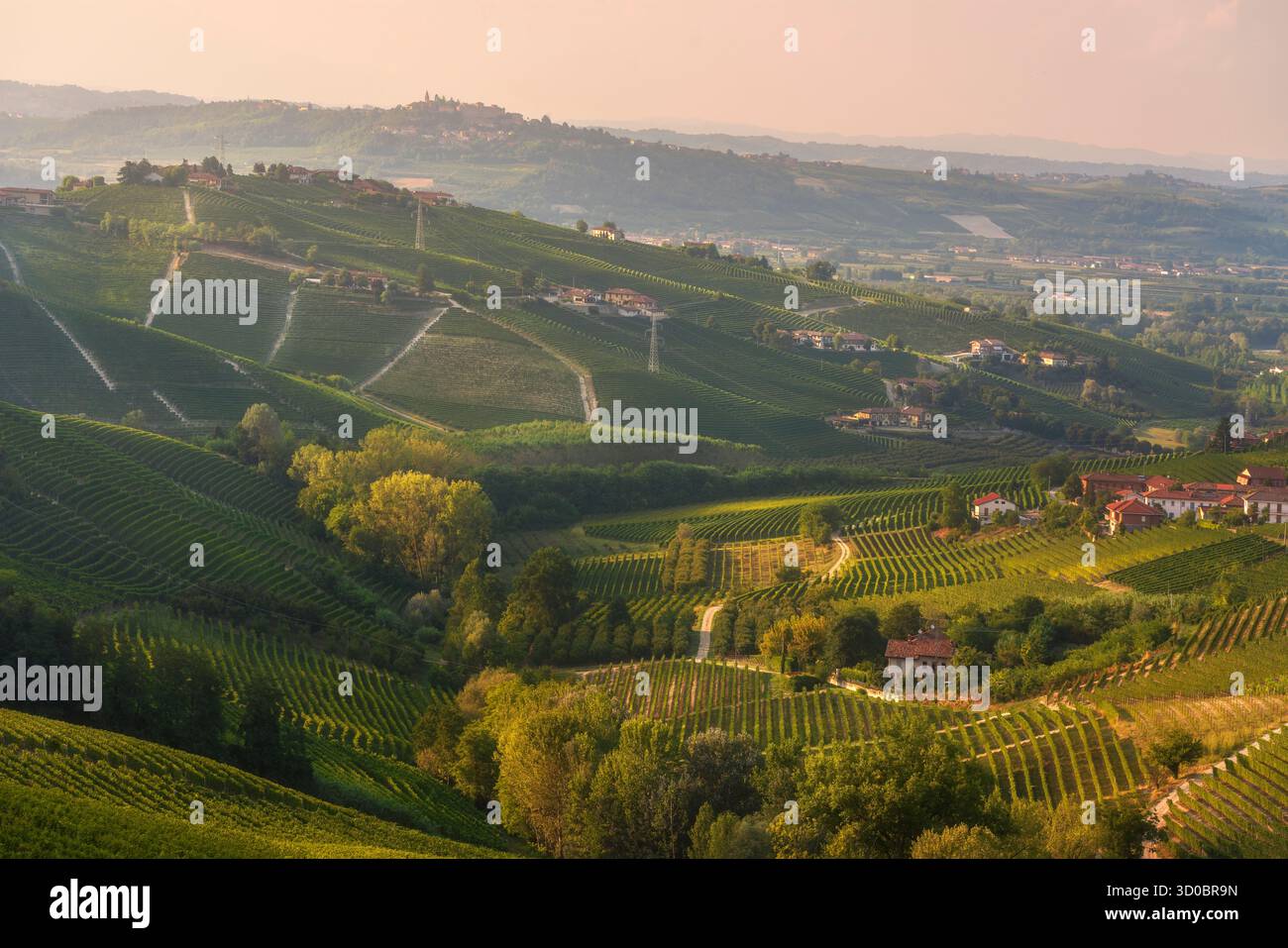 Vue panoramique sur les collines de vignobles vallonnées dans la région des Langhe, Piémont, Italie, près de Barbaresco et Neive, avec un village historique perché dans le Banque D'Images Vue panoramique sur les collines de vignobles vallonnées dans la région des Langhe, Piémont, Italie, près de Barbaresco et Neive, avec un village historique perché dans le Banque D'Images