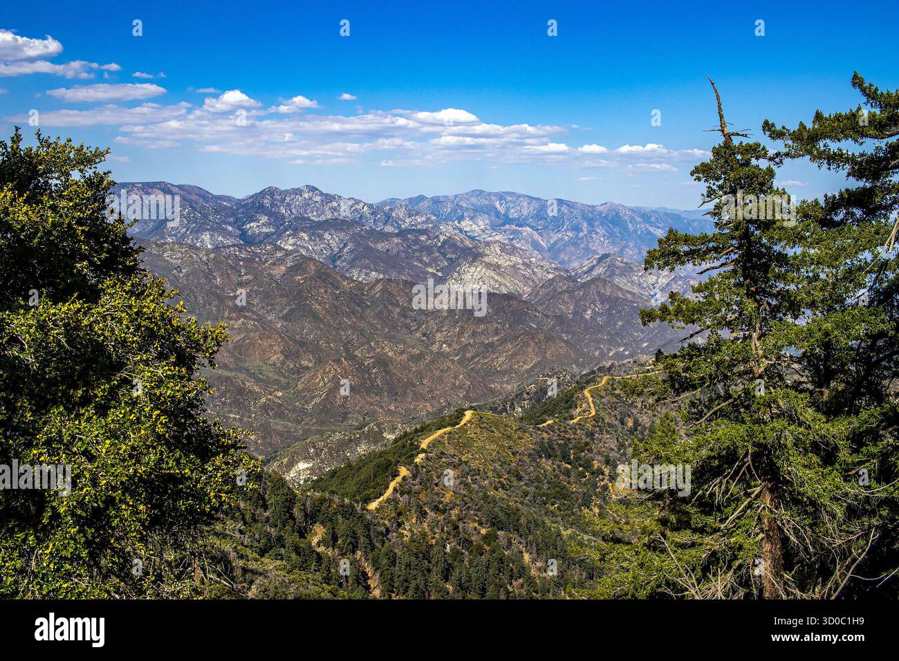 Vue aérienne du sentier Sturtevant à travers une crête de montagne dans la forêt nationale d'Angeles près de Pasadena, Californie. Banque D'Images