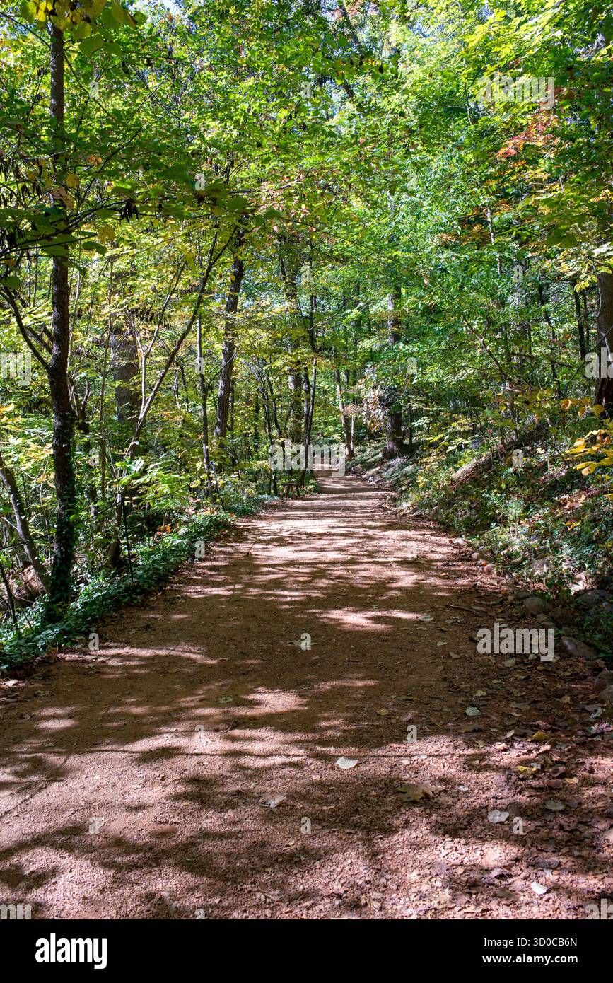 Monticello, maison historique et jardins, Charlottesville, Virginie Banque D'Images