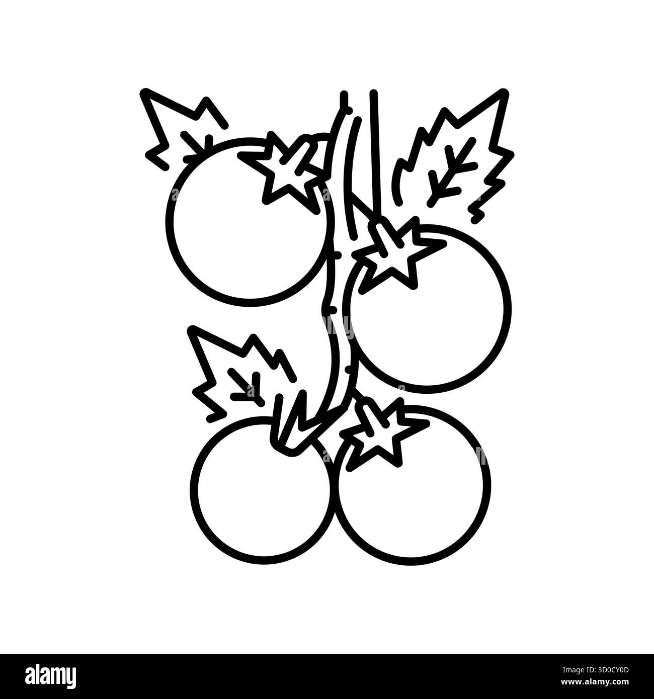 tomates sur l'icône de ligne noire de branche pour les projets numériques et d'impression. Culture de légumes. Icônes nettes minimales pour les applications et les sites Web. ico simple moderne Illustration de Vecteur