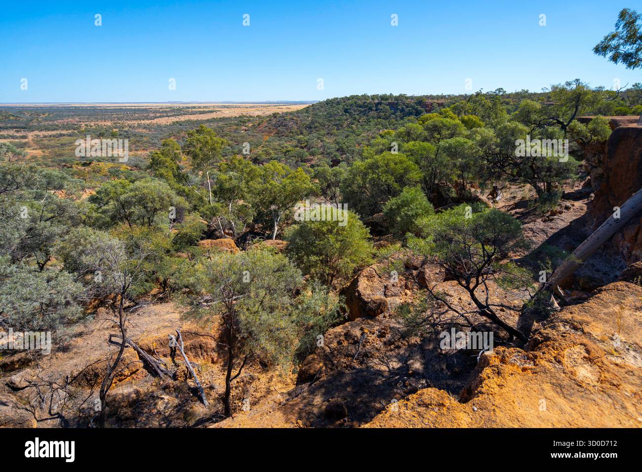 Vue sur les plaines depuis Jump-Up, Age of Dinosaurs, Winton, Queensland Banque D'Images