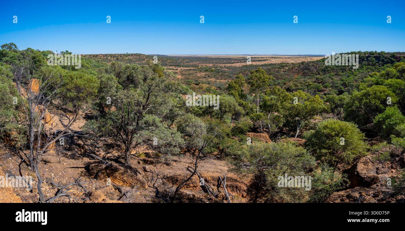 Vue sur les plaines depuis Jump-Up, Age of Dinosaurs, Winton, Queensland Banque D'Images