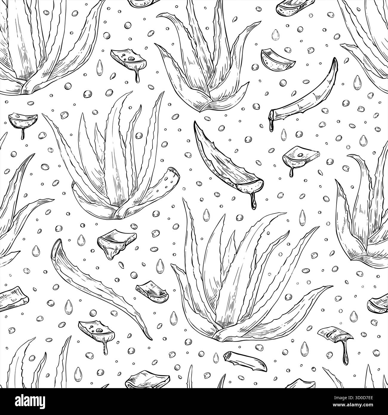 Plante d'Aloe vera, feuilles tranchées ana Juice Drops vecteur modèle sans couture dans le style d'encre noire monochrome. Guérison succulente gravure ornée Illustration de Vecteur