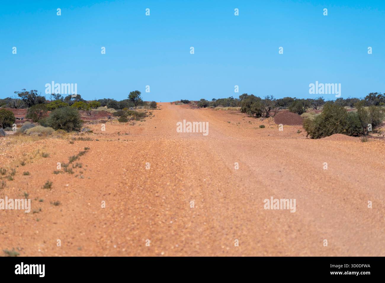 Chemin de terre dans l'outback Queensland Winton, Queensland Banque D'Images