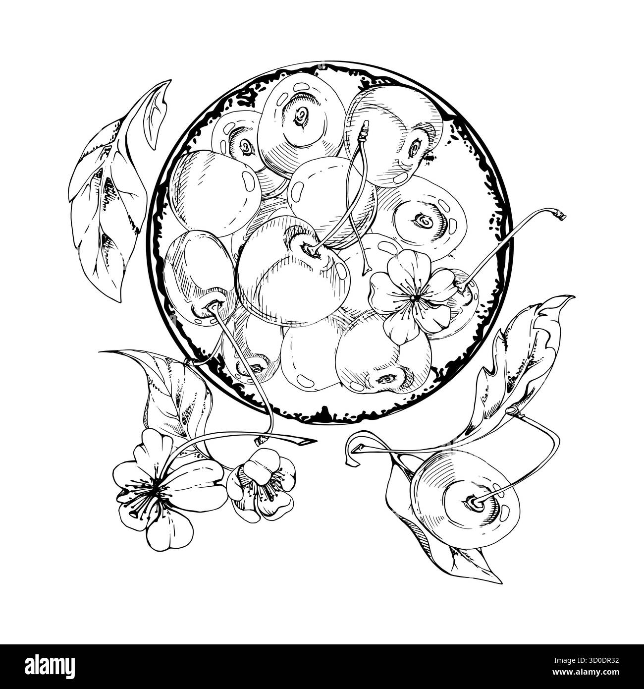 Baies de cerise de ligne aigre douce sur plaque en céramique, encre vectorielle dessinée à la main, cerise mûre, feuilles, fleurs blanches. Illustration de composition isolée Illustration de Vecteur