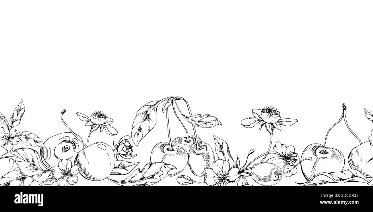 Cerise aigre douce avec fleurs blanches, feuilles de plantes, encre vectorielle dessinée à la main, baie en grappes sur les branches. Illustration de guirlande de bannière sans couture Illustration de Vecteur