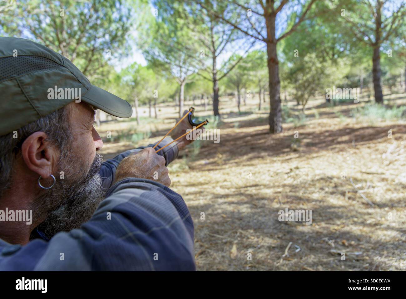 L'homme barbu en casquette vise une fronde dans une forêt de pins ensoleillée, axée sur la cible pendant la pratique de brousse et de chasse en plein air Banque D'Images L'homme barbu en casquette vise une fronde dans une forêt de pins ensoleillée, axée sur la cible pendant la pratique de brousse et de chasse en plein air Banque D'Images