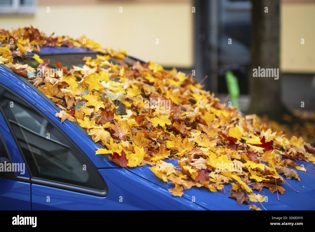 Une voiture est recouverte d'une épaisse couche de feuilles d'automne en automne, Wuppertal, Allemagne Banque D'Images Une voiture est recouverte d'une épaisse couche de feuilles d'automne en automne, Wuppertal, Allemagne Banque D'Images