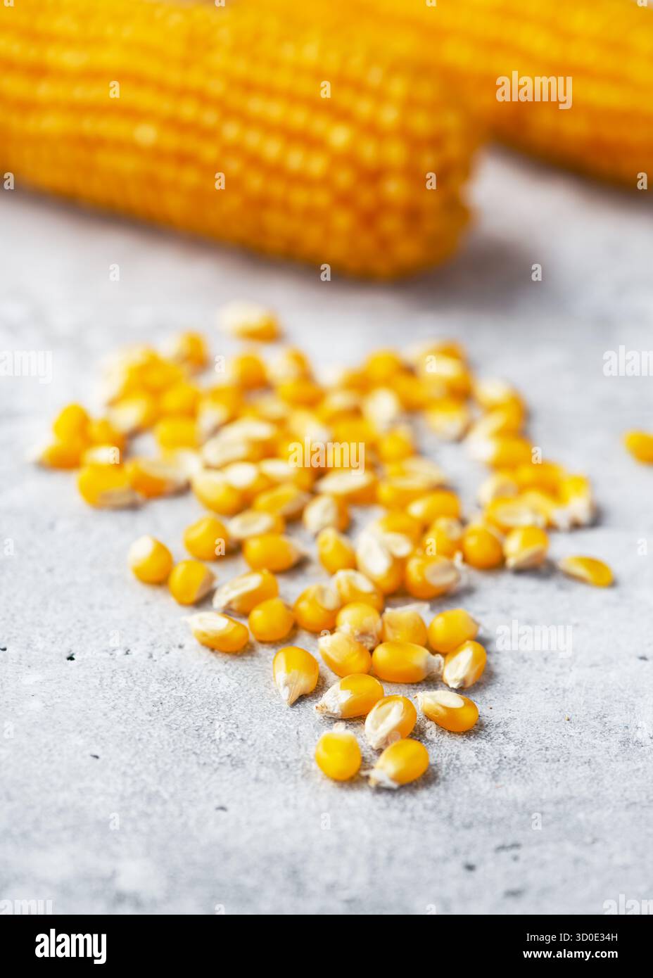 Maïs jaune aux fraises (Zea mays convar.) graines devant les épis de maïs, montrant des tons jaunes vifs et une atmosphère de récolte naturelle. Banque D'Images