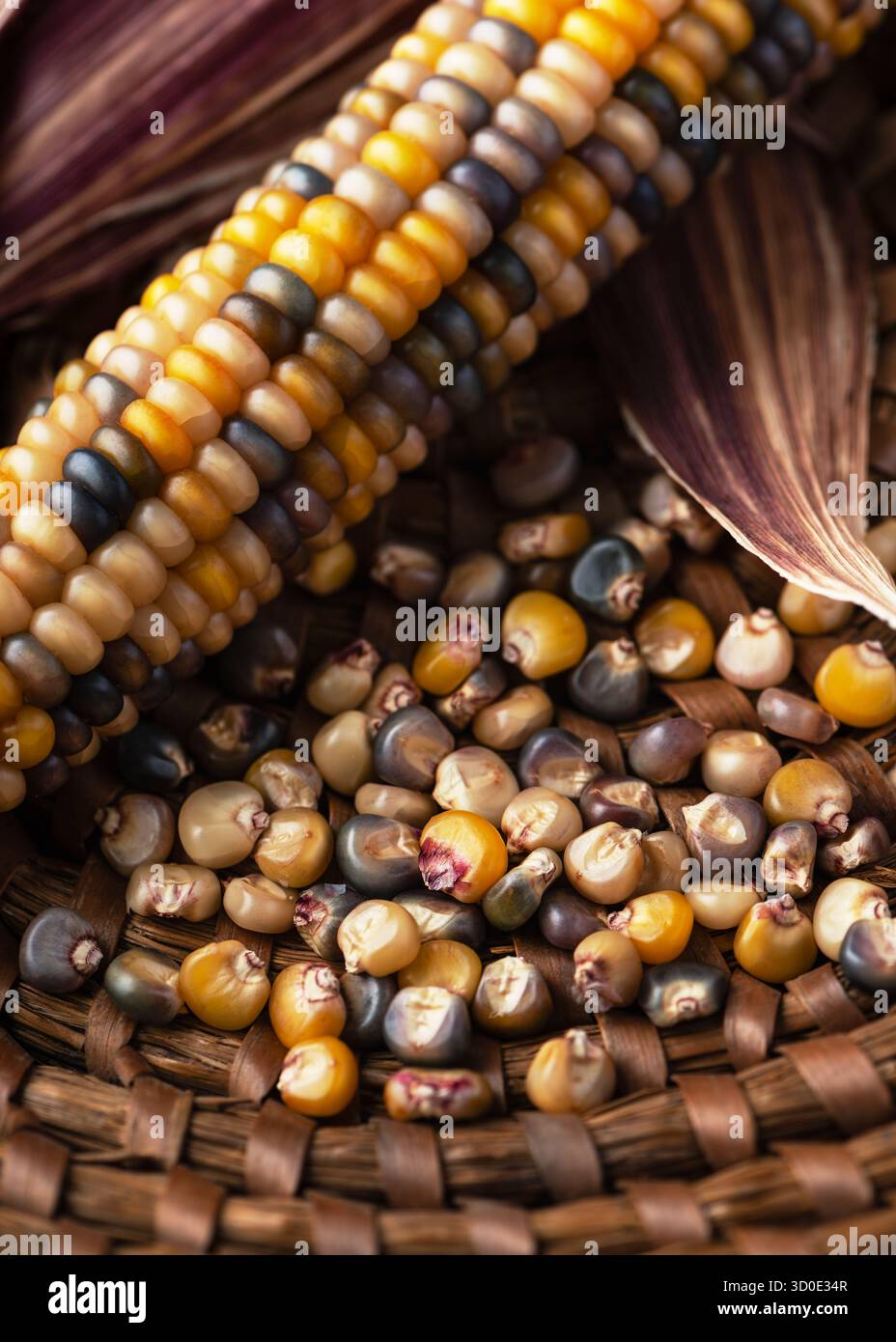 Nature morte rustique de grains de maïs colorés et d'épis disposés dans un panier naturel, en se concentrant sur la texture, le motif et les tons terreux Banque D'Images