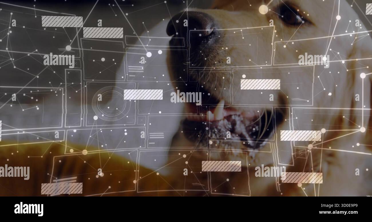 Montrant le chien de récupération haletant à la maison avec des panneaux HUD, des nœuds et des lignes de connexion, copiez l'espace Banque D'Images