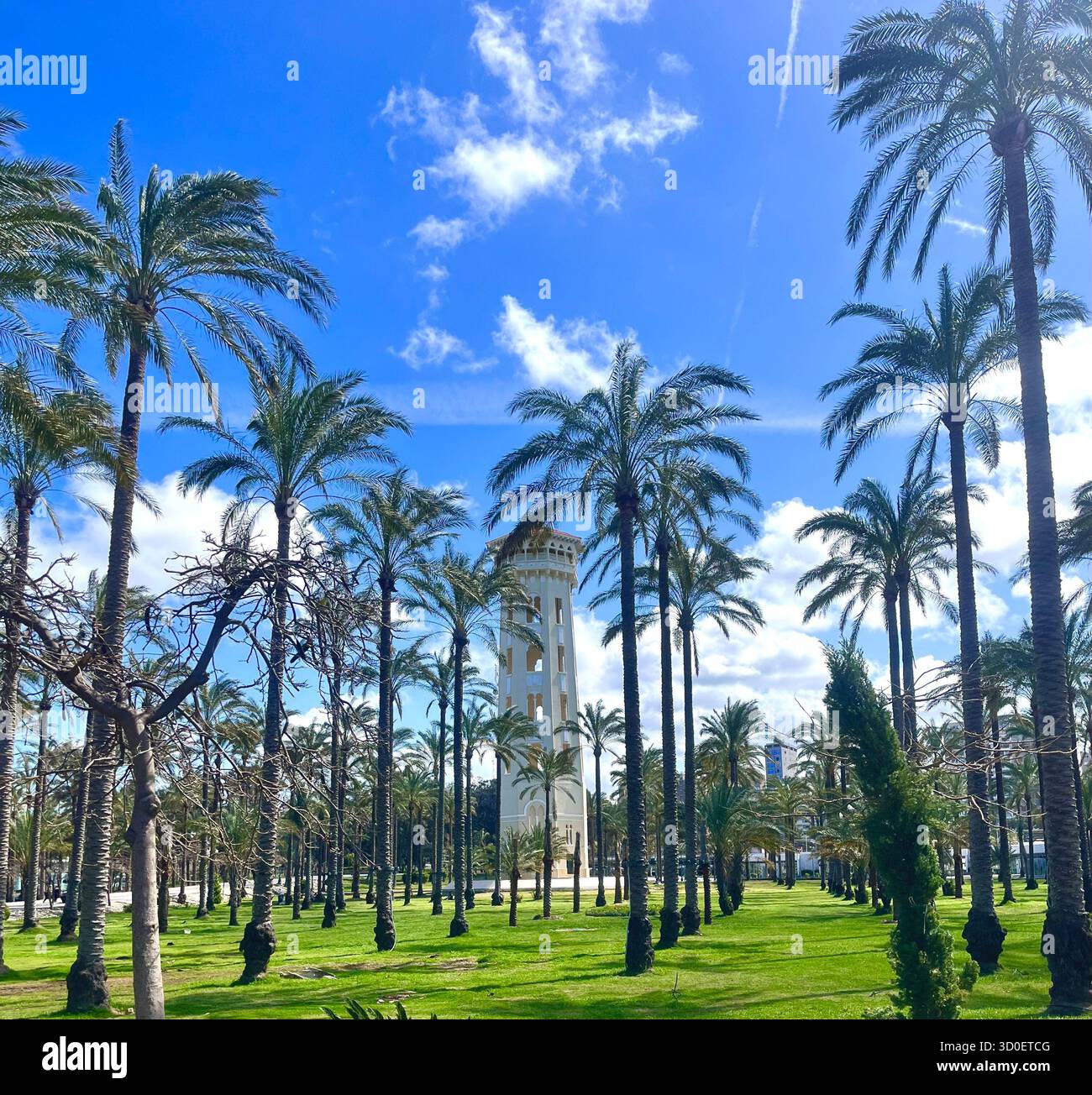Parc de palmiers avec une grande tour blanche sous un ciel bleu vif et des nuages éparpillés, capturés par une journée ensoleillée dans un paysage tropical. - Image de stock capturée avec un smartphone