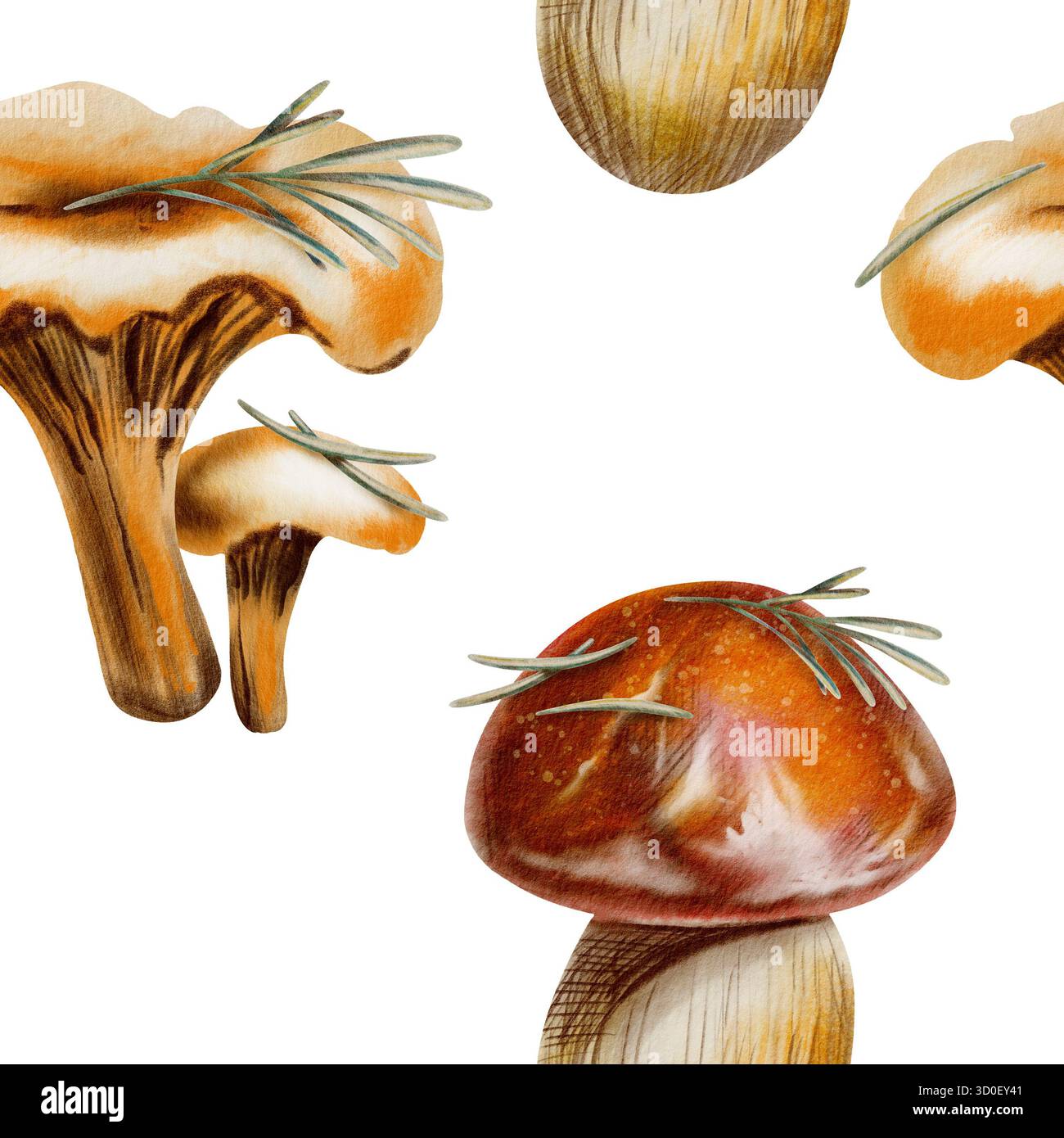 Modèle sans couture d'automne avec chanterelles, boletus de bouleau brun, champignons boletus à chapeau rouge avec aiguilles de pin, servant de symboles de sérénité d'automne Banque D'Images