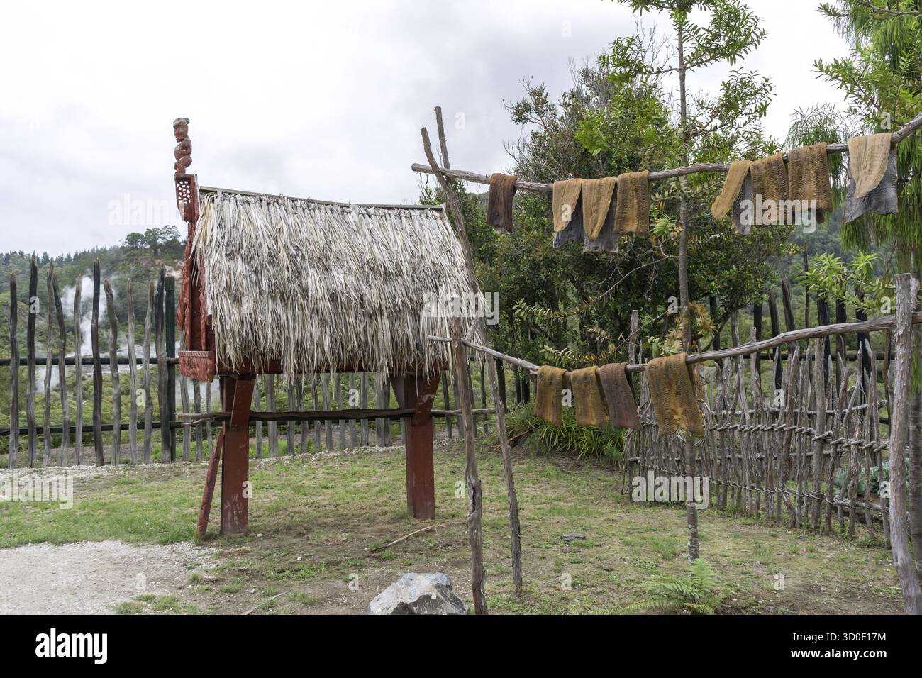 Stockage traditionnel maori dans te puia tour à rotorua en nouvelle-zélande Banque D'Images