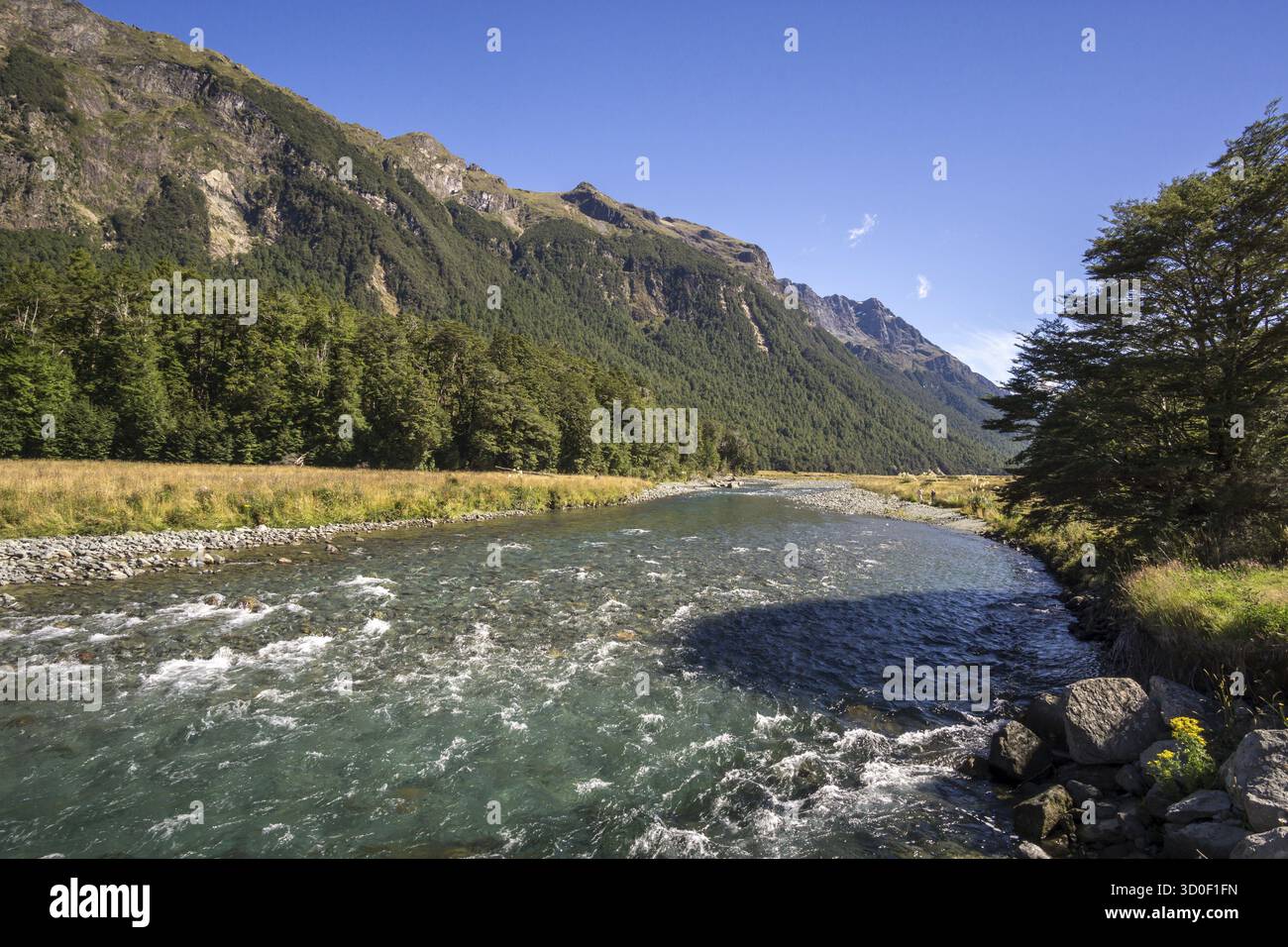 Mackay Creek situé sur le chemin de milford Sound vue estivale avec le ruisseau qui traverse les montagnes Banque D'Images