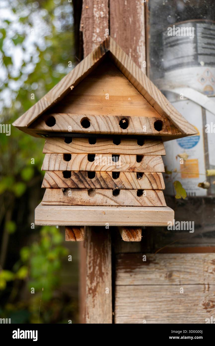 Bee hôtel attaché à un hangar dans un jardin Banque D'Images