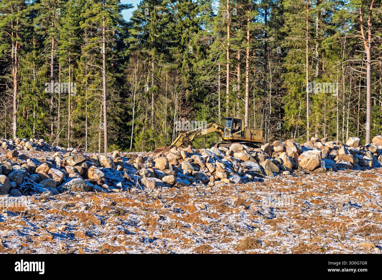 Excavatrice sur un chantier de construction avec des rochers à la lisière de la forêt Banque D'Images