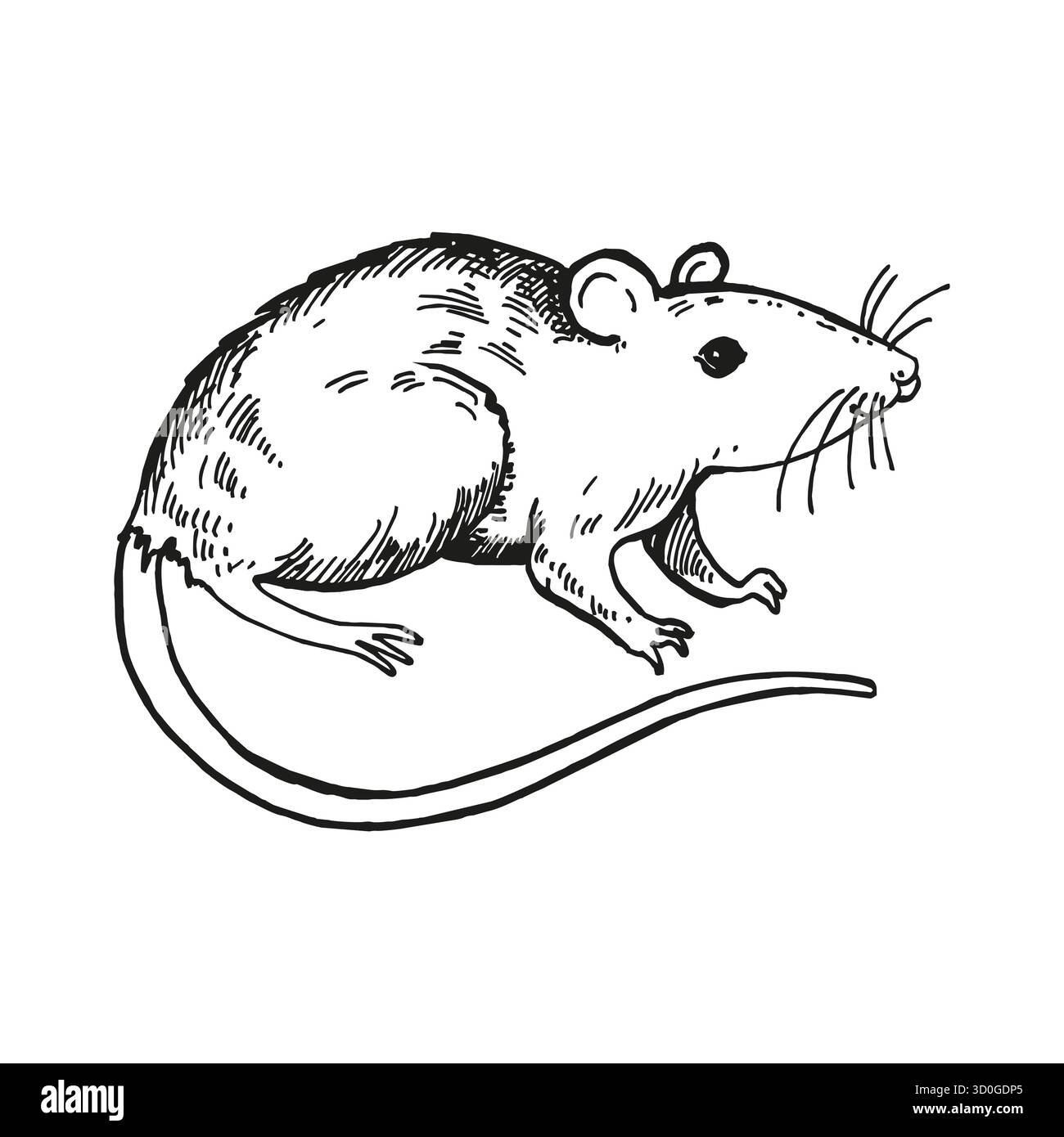 rat de dessin animé vectoriel avec une longue queue, illustration noire et blanche dessinée à la main de rongeur, thème animal en monochrome, esquisse à l'encre de gravure pour tal de fée Illustration de Vecteur