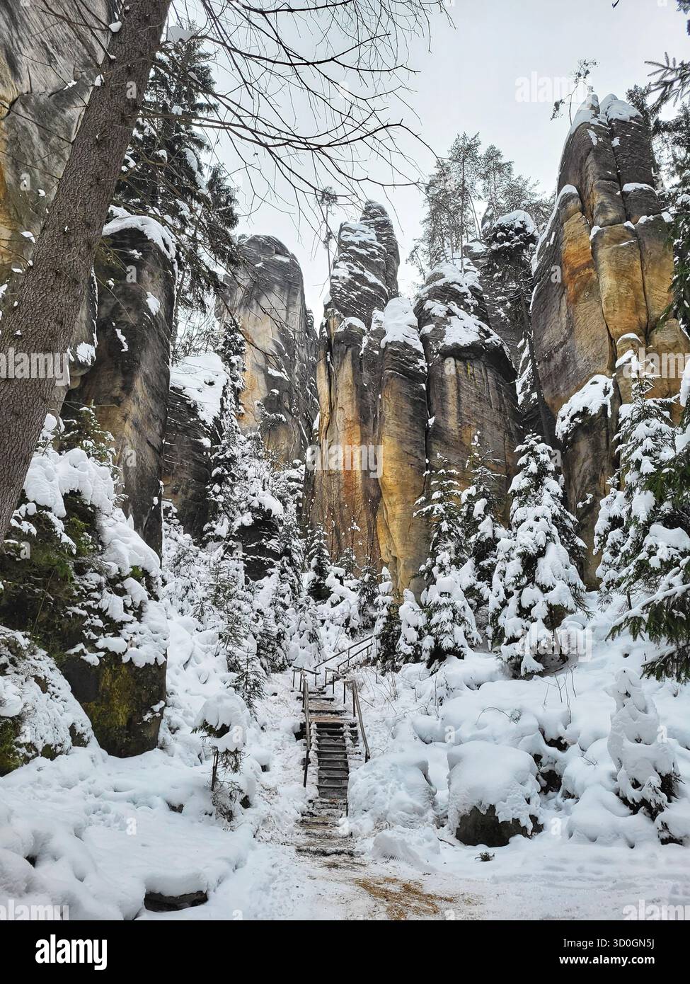 Sentier en bois enneigé menant à travers des falaises de grès spectaculaires et des pins à Adršpach-Teplice Rocks, République tchèque, en hiver. - Image de stock capturée avec un smartphone