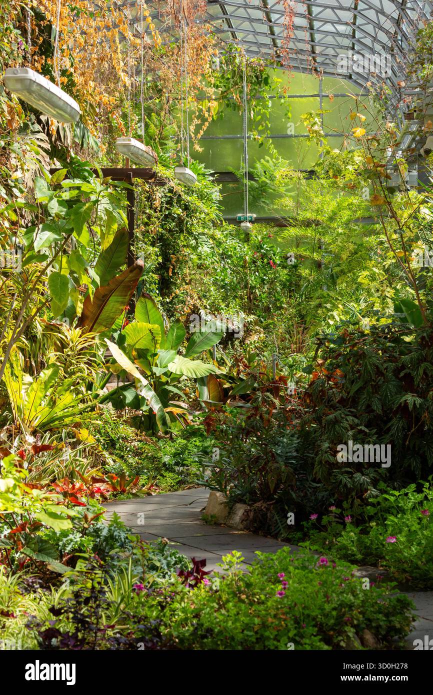 Dunfermline Glass House dans le parc Pittencieff, Fife. Banque D'Images