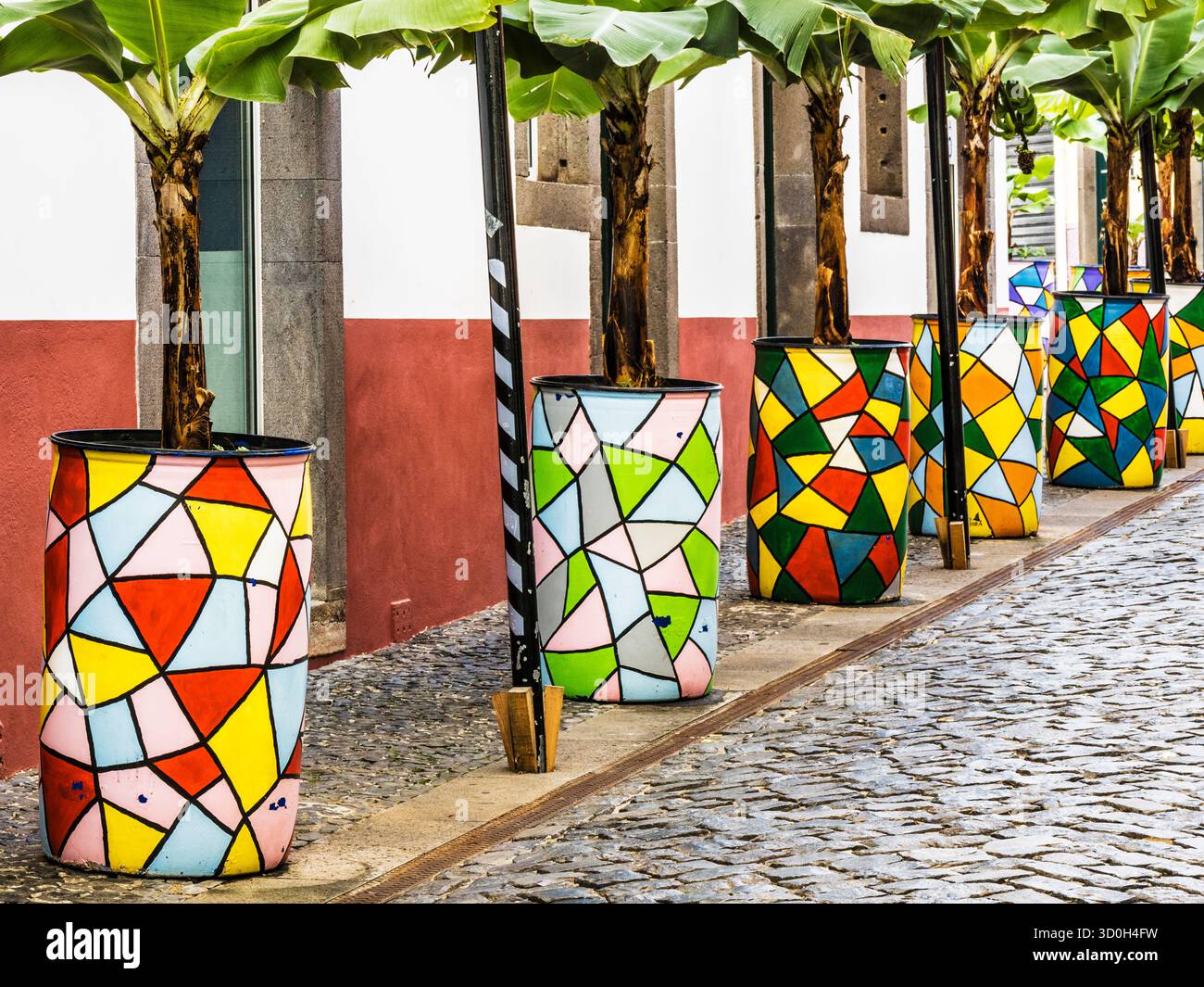 Une rue latérale dans le joli village côtier de Camara de Lobos à Madère. Banque D'Images