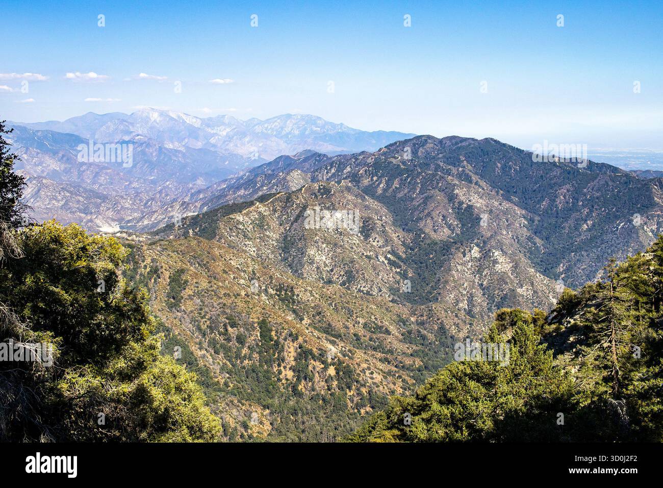 Vue aérienne du sentier Sturtevant à travers une crête de montagne dans la forêt nationale d'Angeles près de Pasadena, Californie. Banque D'Images