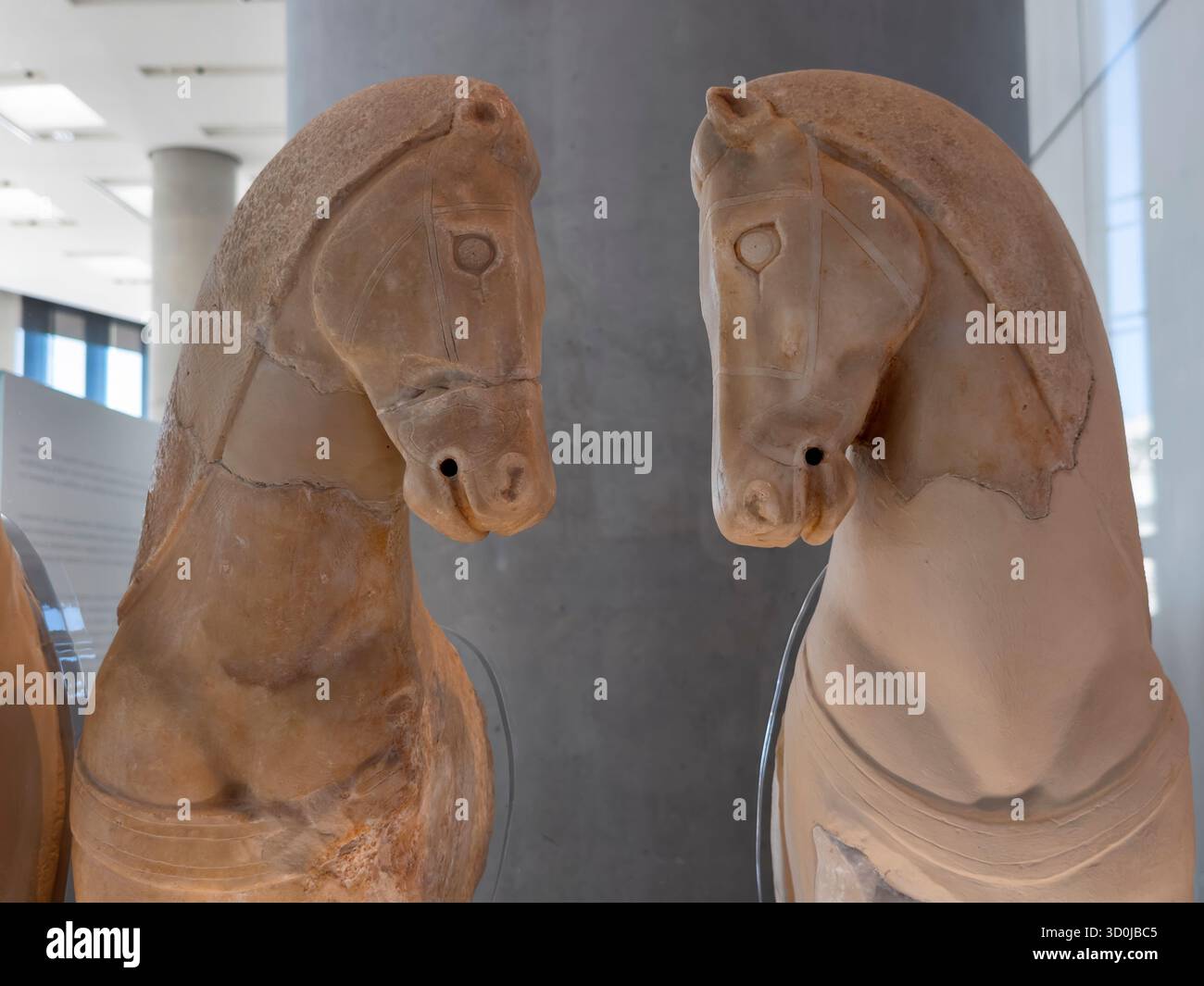 Sculpture en marbre du Ve siècle av. J.-C. représentant deux chevaux au Musée de l'Acropole conçue par Bernard Tschumi - Athènes, Grèce Banque D'Images
