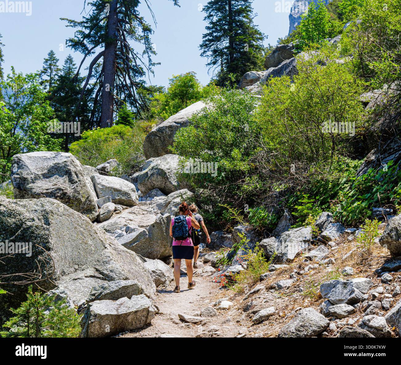 Randonneuses féminines traversant Boulders sur le sentier Zumwalt Meadow Loop, parc national de Kings Canyon, Californie, États-Unis Banque D'Images