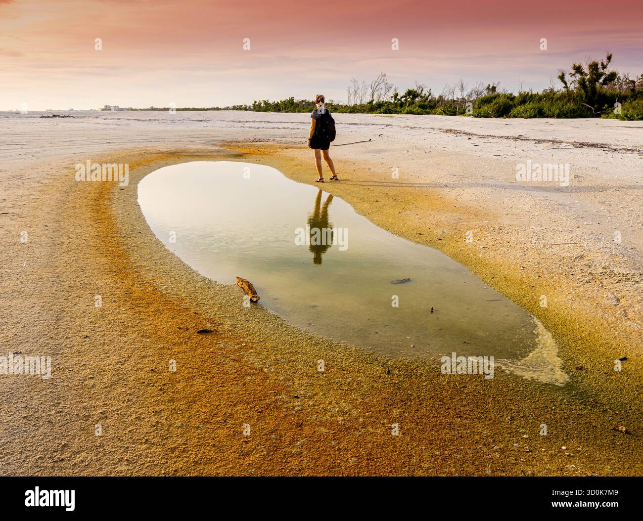 Réflexion de randonneur féminin dans une petite piscine de marée sur South Beach, Lovers Key State Park, Floride, États-Unis Banque D'Images