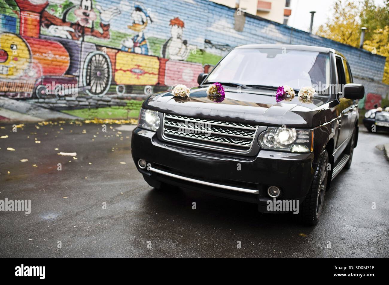 Mariage élégant cortège de voitures Banque D'Images