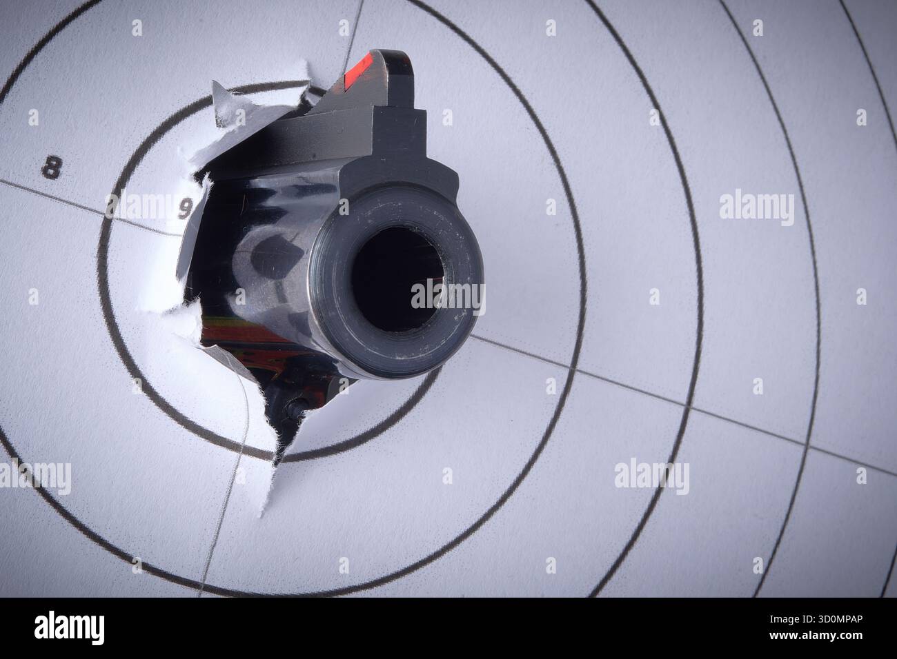 Pistolet et cible, magnum Smith & Wesson de .41, contrôle des armes à feu Banque D'Images