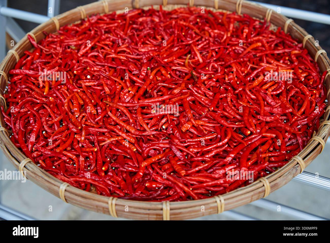 Piments rouges au soleil séchant dans un panier en osier Banque D'Images