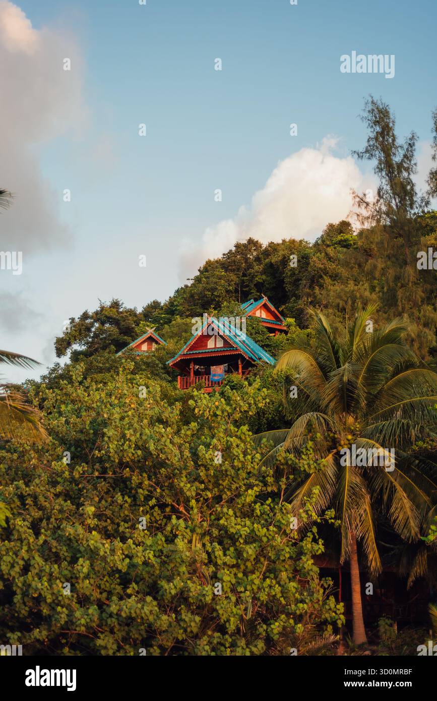 Bungalows colorés dans les arbres tropicaux Koh ma, Koh Phangan, Thaïlande Banque D'Images
