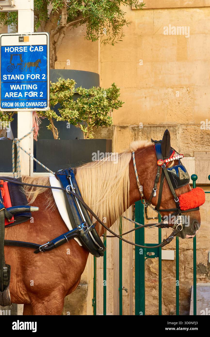 Cheval Cab signe et chariot à cheval prêt pour les touristes dans la scène de rue historique à Malte aujourd'hui Banque D'Images