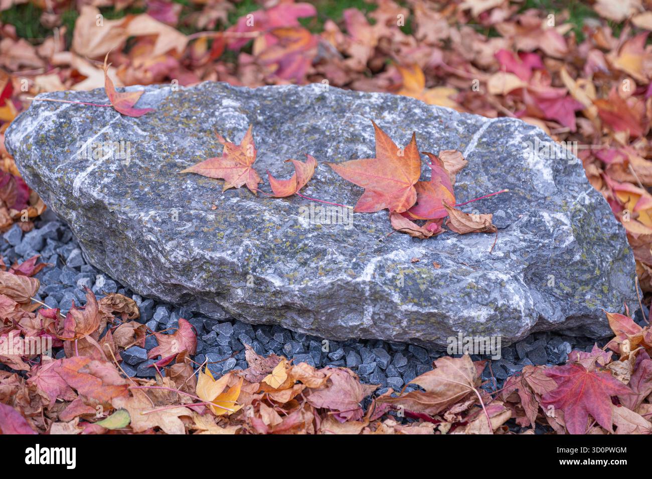 Pierre grise avec des feuilles d'automne sur fond de feuillage jaune et rouge - vue latérale de fond de nature d'automne Banque D'Images