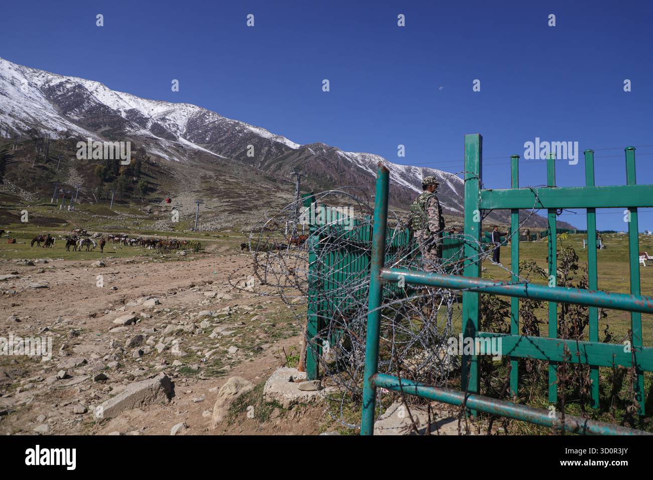 Baramulla, Jammu-et-Cachemire, Inde. 24 octobre 2025. Un membre armé indien est en service à la station de Kongdoori Hill, avec des montagnes enneigées en toile de fond à Gulmarg, à environ 55 km de Srinagar, capitale estivale du Jammu-et-Cachemire. Le Gulmarg Gondola, l'un des téléphériques les plus longs et les plus hauts d'Asie, fonctionne de Gulmarg à Kongdoori, puis à Apharwat Peak à une altitude de 8 694 pieds. (Crédit image : © Adil Abass/ZUMA Press Wire) USAGE ÉDITORIAL SEULEMENT ! Non destiné à UN USAGE commercial ! Banque D'Images Baramulla, Jammu-et-Cachemire, Inde. 24 octobre 2025. Un membre armé indien est en service à la station de Kongdoori Hill, avec des montagnes enneigées en toile de fond à Gulmarg, à environ 55 km de Srinagar, capitale estivale du Jammu-et-Cachemire. Le Gulmarg Gondola, l'un des téléphériques les plus longs et les plus hauts d'Asie, fonctionne de Gulmarg à Kongdoori, puis à Apharwat Peak à une altitude de 8 694 pieds. (Crédit image : © Adil Abass/ZUMA Press Wire) USAGE ÉDITORIAL SEULEMENT ! Non destiné à UN USAGE commercial ! Banque D'Images