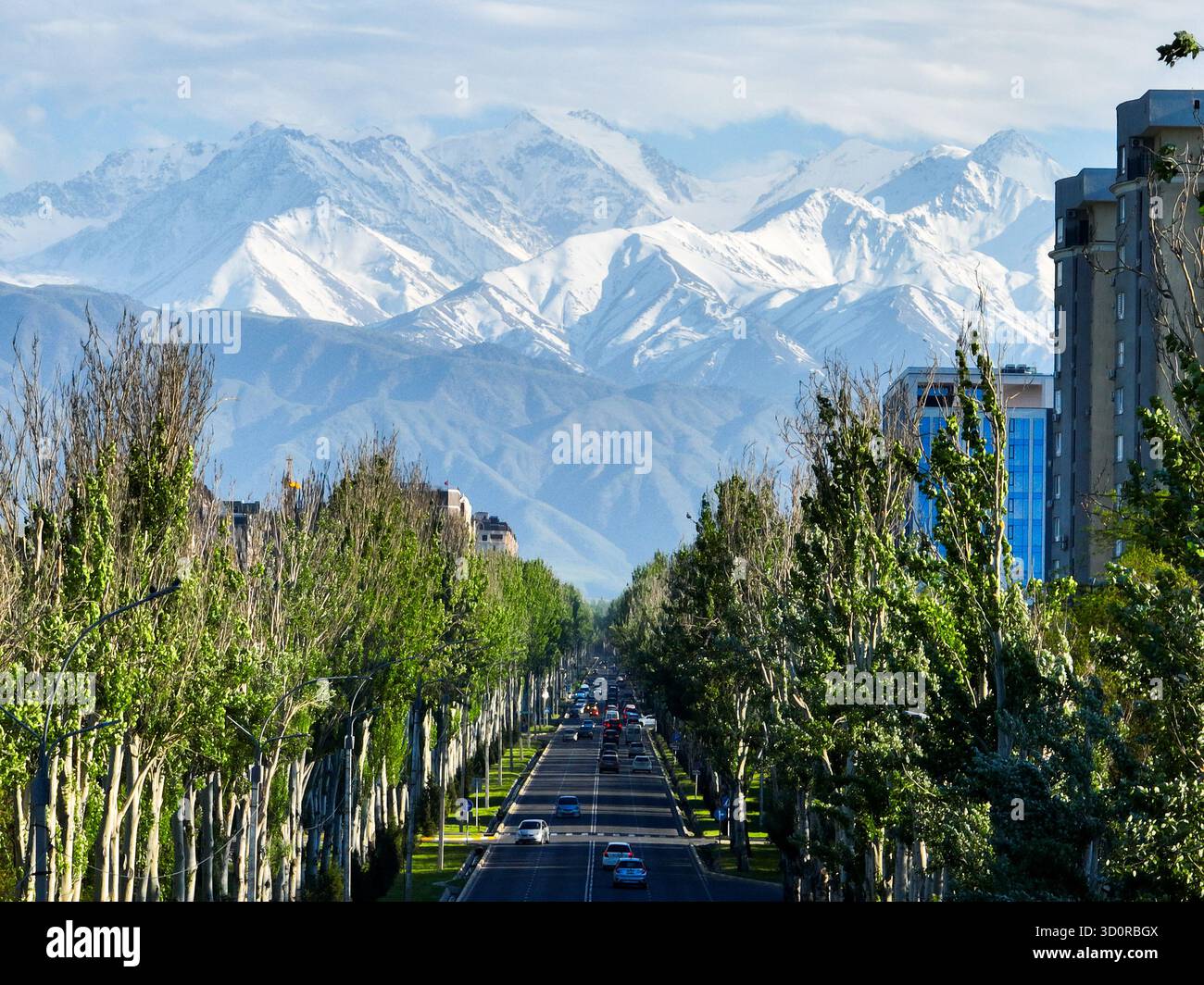 Bichkek, Kirghizistan - 13 mai 2024 : vue sur une large avenue bordée d'arbres verdoyants dans la ville vers les sommets imposants et enneigés de l'Ala-to kirghize Banque D'Images