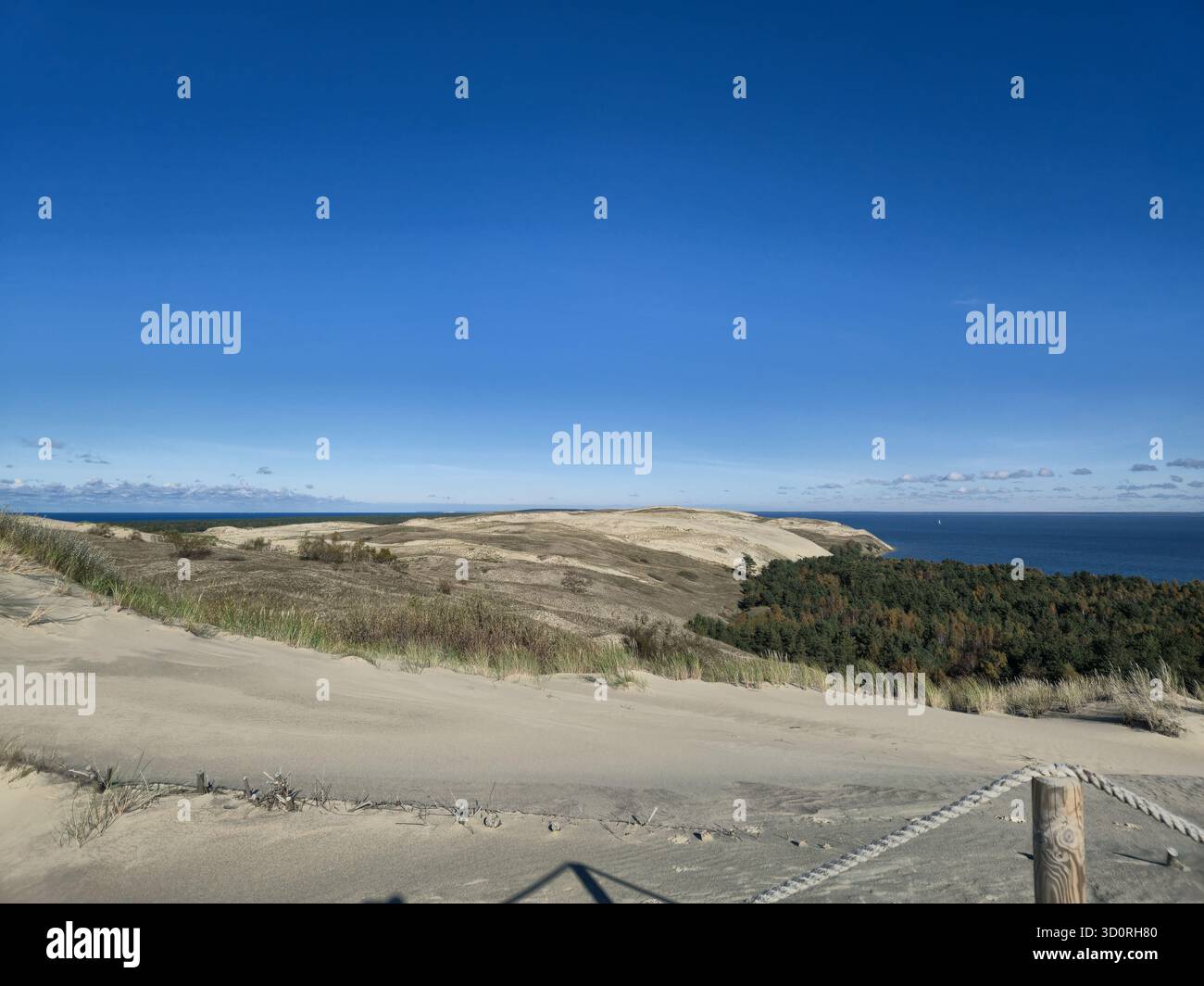 Une vue panoramique à couper le souffle depuis la dune de Parnidis sur l'axe de Courlande en Lituanie, un site classé au patrimoine mondial de l'UNESCO. Banque D'Images