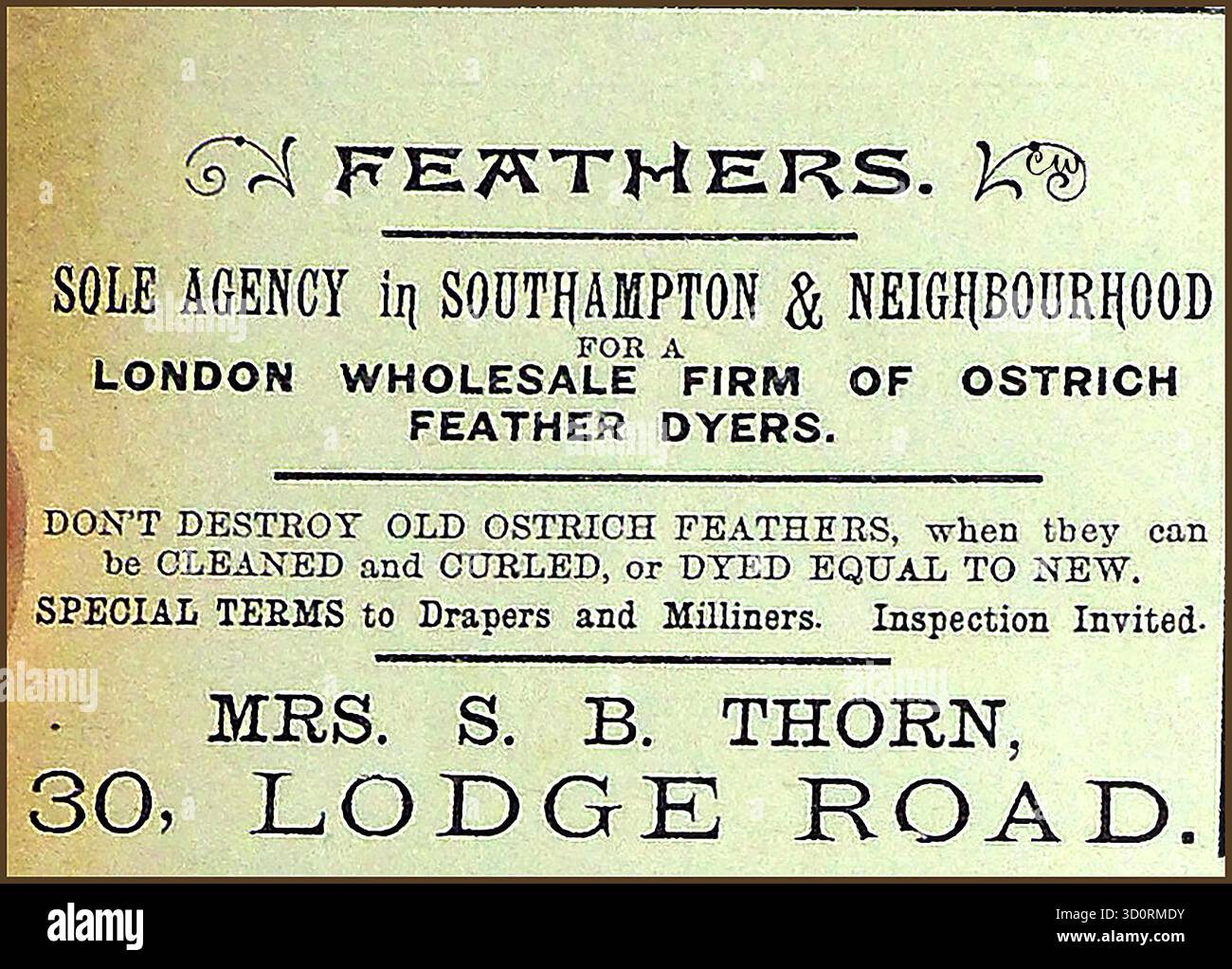 1897 publicité pour S B Thorn, Southampton - grossiste en plumes d'autruche. Banque D'Images