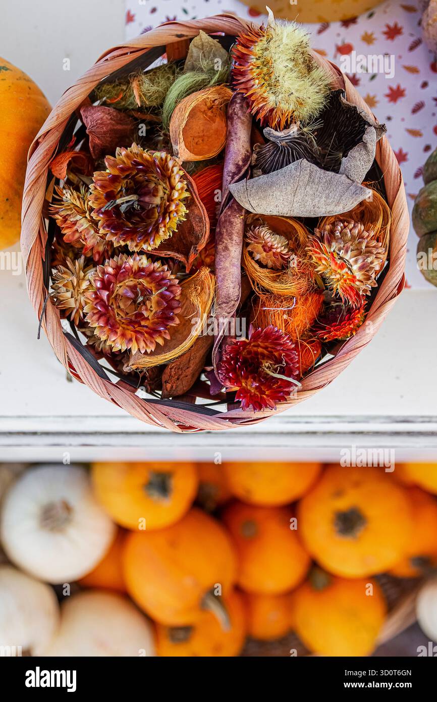 Un bouquet de fleurs séchées exposé dans une boutique. Ci-dessous, un affichage de différents types de citrouilles. Banque D'Images