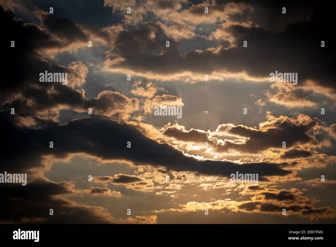 Golden Horizon. Heure du coucher du soleil. Banque D'Images