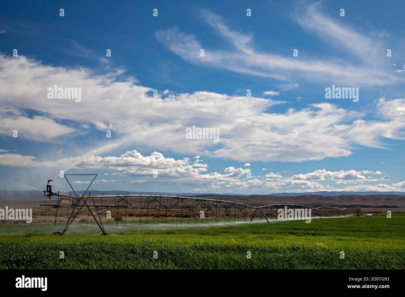 Alcova, Wyoming - arroseurs arrosent une culture qui pousse dans le désert du Wyoming. L'eau dans cette zone autrement sèche provient de la rivière North Platte voisine. Banque D'Images