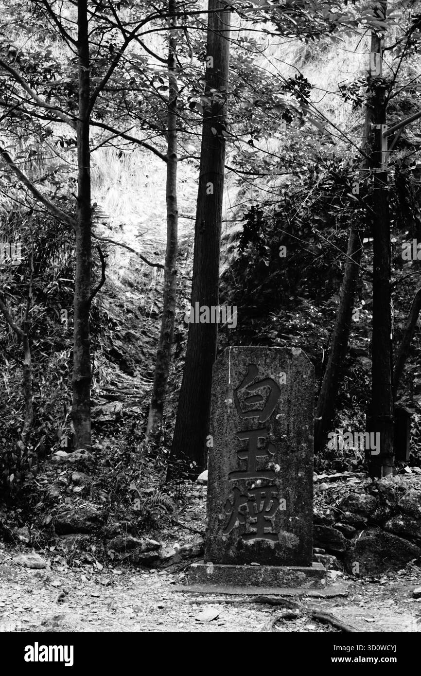 Montagnes de Yandang, comté de Yueqing, Wenzhou (Zhejiang), Chine : tablette de chute d'eau de dragon géant dans la zone pittoresque de Dalongqiu Banque D'Images