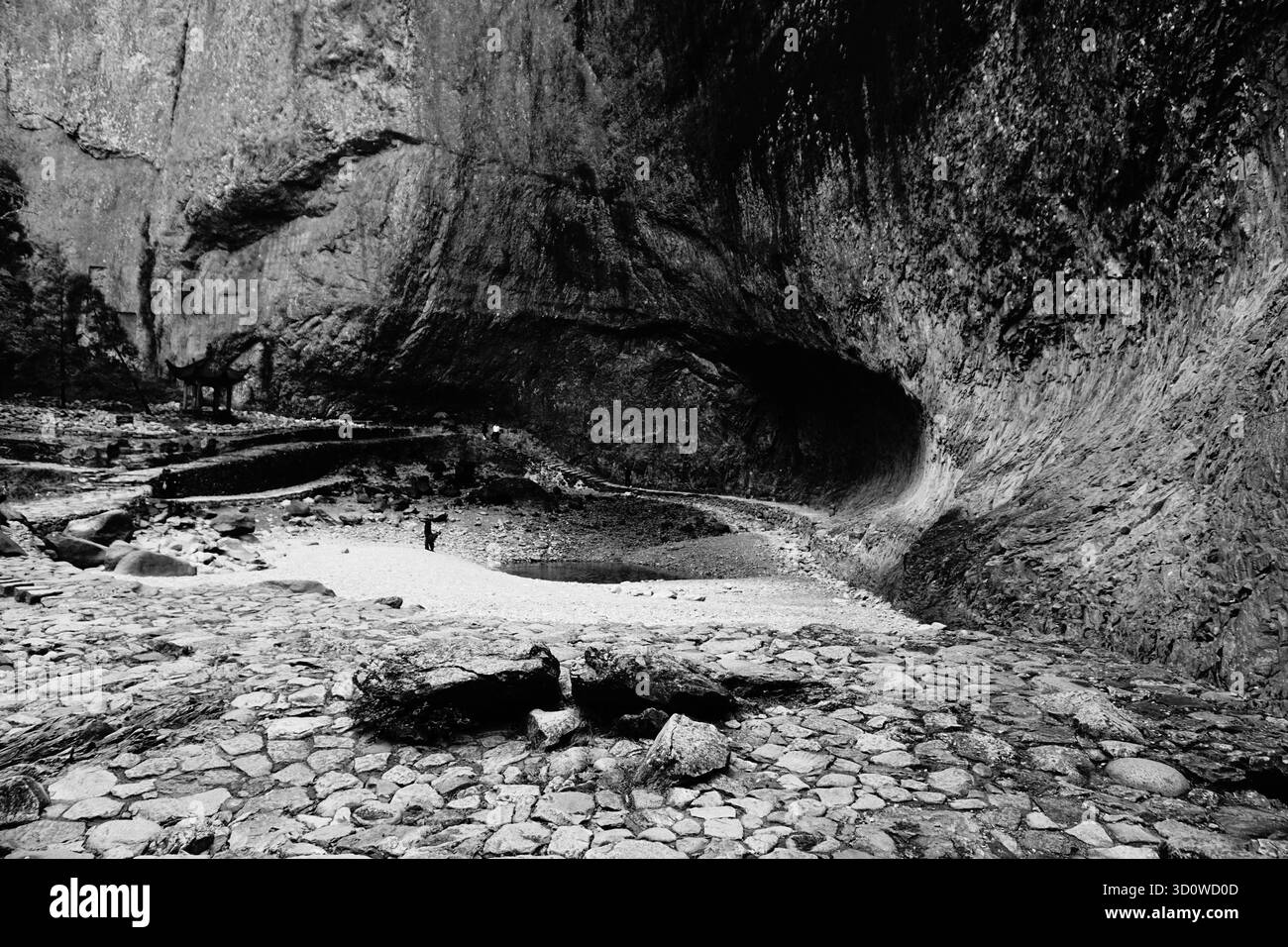 Montagnes de Yandang, comté de Yueqing, Wenzhou (Zhejiang), Chine : chute d'eau de dragon géant dans la zone pittoresque de Dalongqiu Banque D'Images